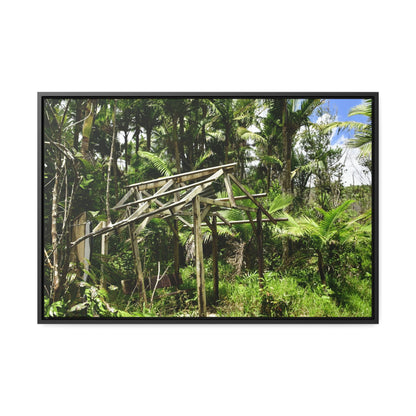Rainforest Trails & Views - Gallery Canvas Wraps, Horizontal Frame - El Yunque National Forest - Puerto Rico - Tradewinds trail - destroyed shelter by Hurricane Maria 140MPH winds - Green Forest Home