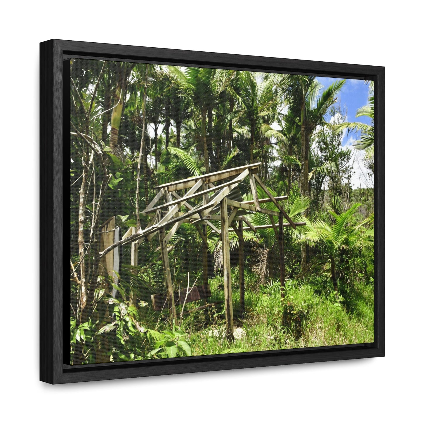 Rainforest Trails & Views - Gallery Canvas Wraps, Horizontal Frame - El Yunque National Forest - Puerto Rico - Tradewinds trail - destroyed shelter by Hurricane Maria 140MPH winds - Green Forest Home