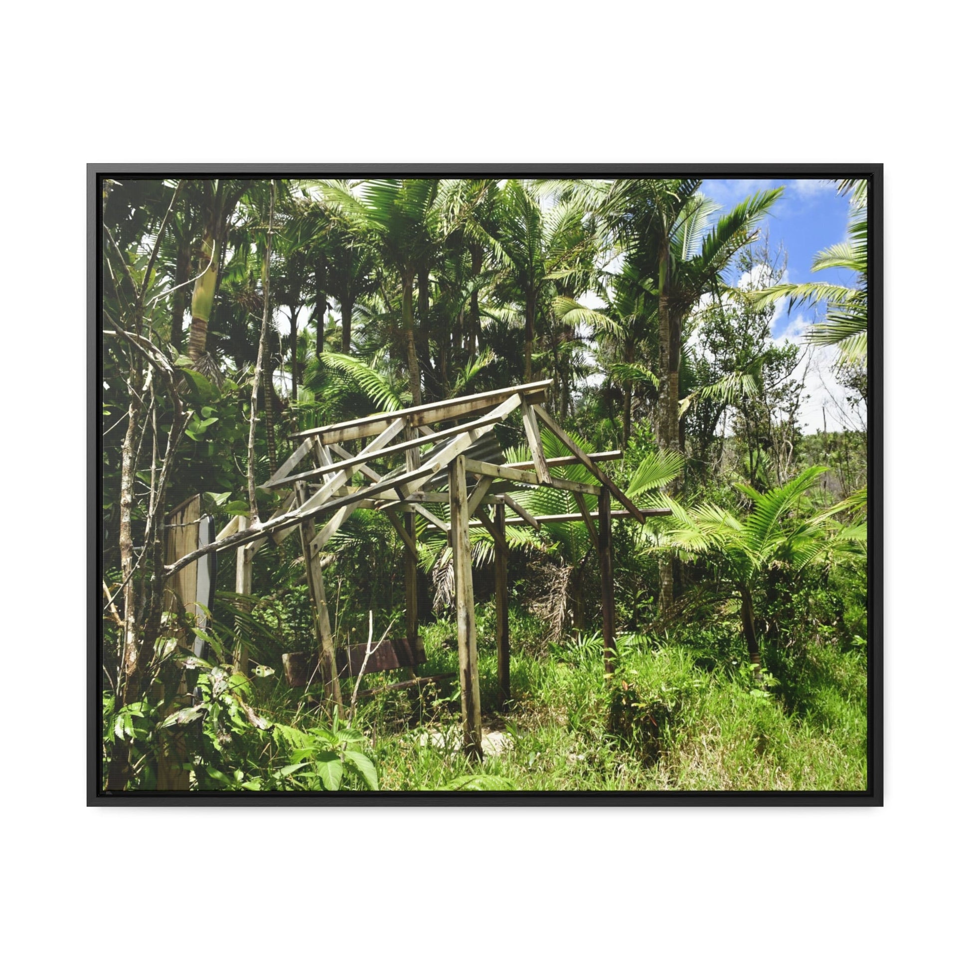 Rainforest Trails & Views - Gallery Canvas Wraps, Horizontal Frame - El Yunque National Forest - Puerto Rico - Tradewinds trail - destroyed shelter by Hurricane Maria 140MPH winds - Green Forest Home