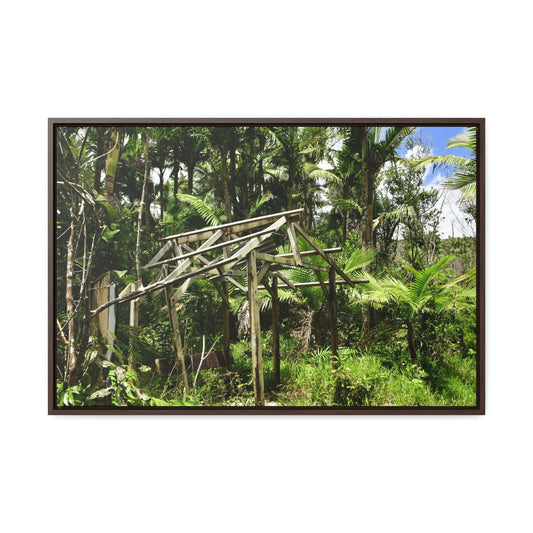 Rainforest Trails & Views - Gallery Canvas Wraps, Horizontal Frame - El Yunque National Forest - Puerto Rico - Tradewinds trail - destroyed shelter by Hurricane Maria 140MPH winds - Green Forest Home