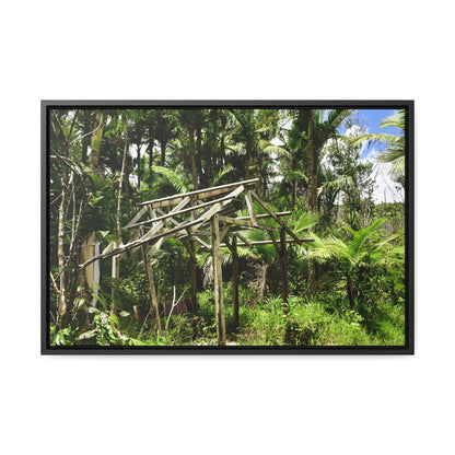 Rainforest Trails & Views - Gallery Canvas Wraps, Horizontal Frame - El Yunque National Forest - Puerto Rico - Tradewinds trail - destroyed shelter by Hurricane Maria 140MPH winds - Green Forest Home