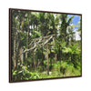 Rainforest Trails & Views - Gallery Canvas Wraps, Horizontal Frame - El Yunque National Forest - Puerto Rico - Tradewinds trail - destroyed shelter by Hurricane Maria 140MPH winds - Green Forest Home