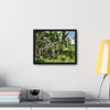 Rainforest Trails & Views - Gallery Canvas Wraps, Horizontal Frame - El Yunque National Forest - Puerto Rico - Tradewinds trail - destroyed shelter by Hurricane Maria 140MPH winds - Green Forest Home