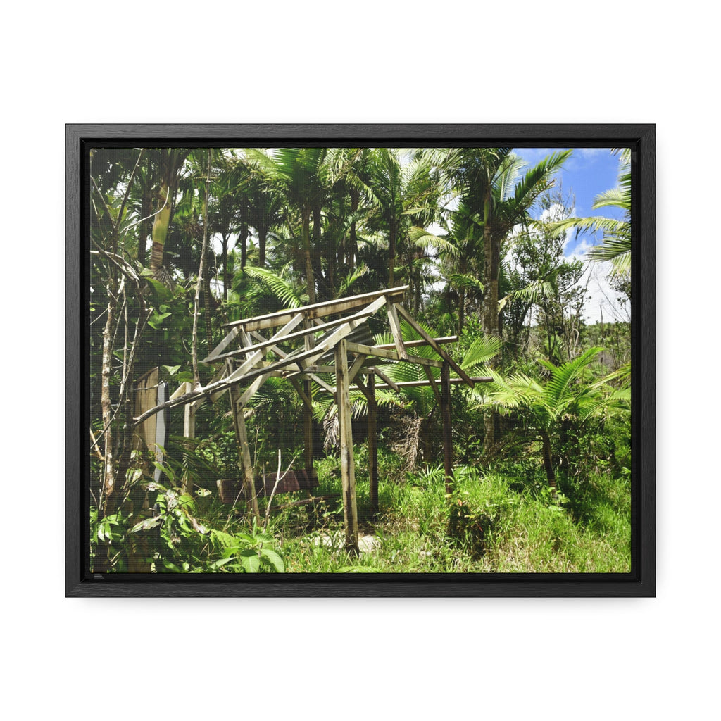 Rainforest Trails & Views - Gallery Canvas Wraps, Horizontal Frame - El Yunque National Forest - Puerto Rico - Tradewinds trail - destroyed shelter by Hurricane Maria 140MPH winds - Green Forest Home