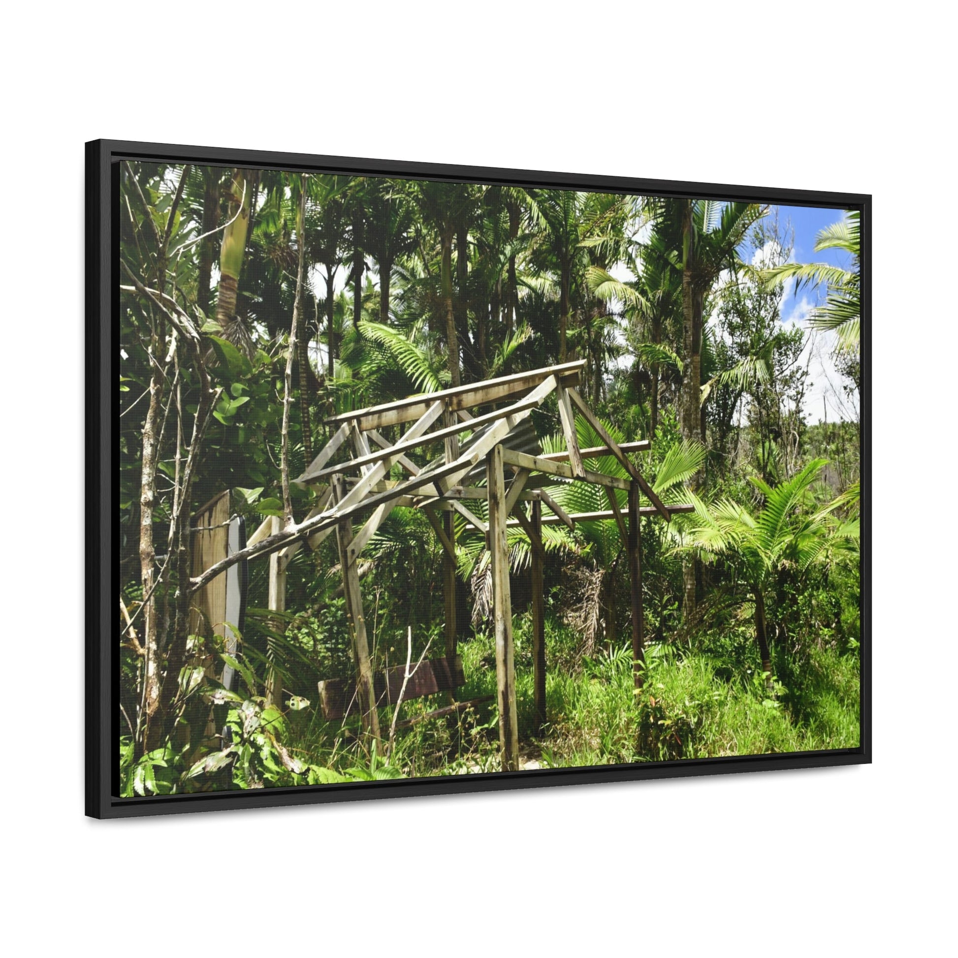 Rainforest Trails & Views - Gallery Canvas Wraps, Horizontal Frame - El Yunque National Forest - Puerto Rico - Tradewinds trail - destroyed shelter by Hurricane Maria 140MPH winds - Green Forest Home
