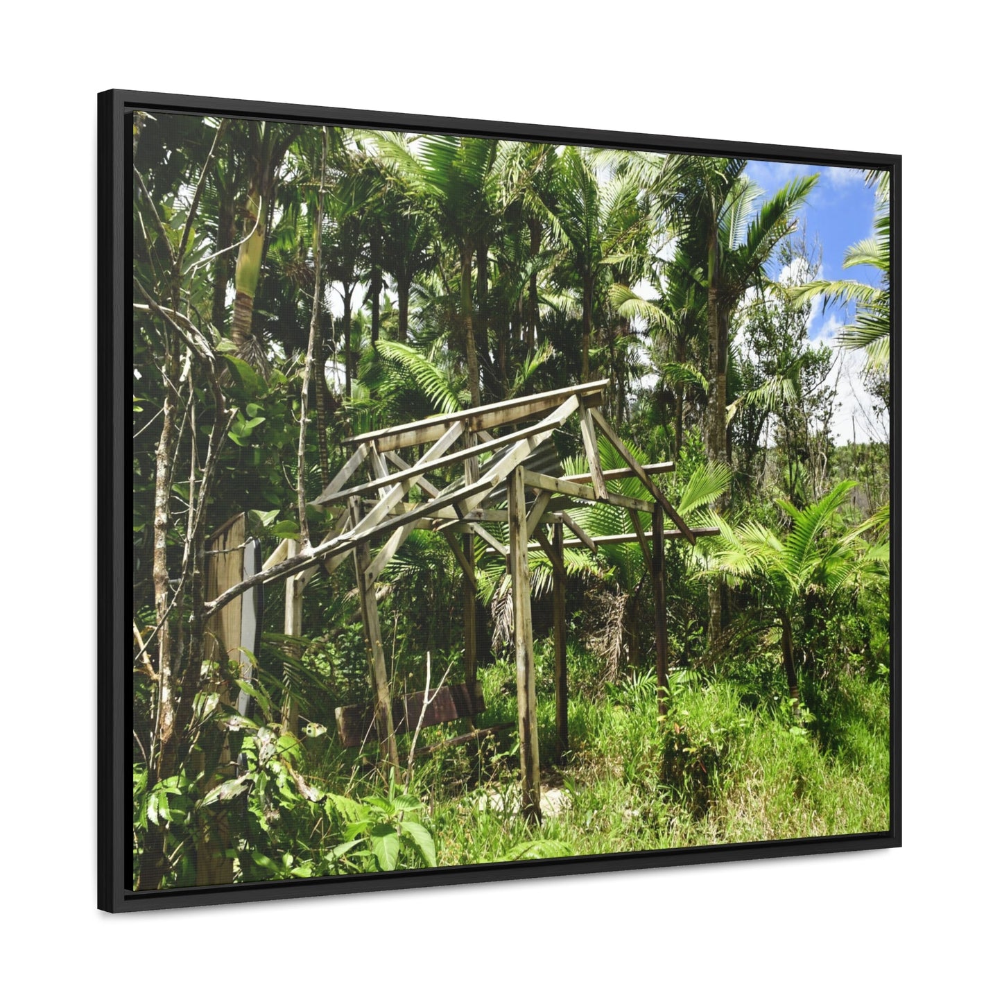 Rainforest Trails & Views - Gallery Canvas Wraps, Horizontal Frame - El Yunque National Forest - Puerto Rico - Tradewinds trail - destroyed shelter by Hurricane Maria 140MPH winds - Green Forest Home