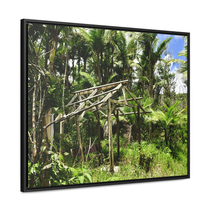 Rainforest Trails & Views - Gallery Canvas Wraps, Horizontal Frame - El Yunque National Forest - Puerto Rico - Tradewinds trail - destroyed shelter by Hurricane Maria 140MPH winds - Green Forest Home