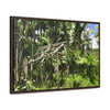 Rainforest Trails & Views - Gallery Canvas Wraps, Horizontal Frame - El Yunque National Forest - Puerto Rico - Tradewinds trail - destroyed shelter by Hurricane Maria 140MPH winds - Green Forest Home