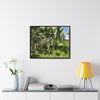 Rainforest Trails & Views - Gallery Canvas Wraps, Horizontal Frame - El Yunque National Forest - Puerto Rico - Tradewinds trail - destroyed shelter by Hurricane Maria 140MPH winds - Green Forest Home