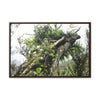 Rainforest Trails & Views - Gallery Canvas Wraps, Horizontal Frame - El Yunque National Forest - Puerto Rico - Tradewinds Trail - Dramatic view of tree battered by Hurricane Maria - Green Forest Home