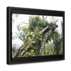 Rainforest Trails & Views - Gallery Canvas Wraps, Horizontal Frame - El Yunque National Forest - Puerto Rico - Tradewinds Trail - Dramatic view of tree battered by Hurricane Maria - Green Forest Home