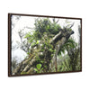 Rainforest Trails & Views - Gallery Canvas Wraps, Horizontal Frame - El Yunque National Forest - Puerto Rico - Tradewinds Trail - Dramatic view of tree battered by Hurricane Maria - Green Forest Home