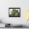 Rainforest Trails & Views - Gallery Canvas Wraps, Horizontal Frame - El Yunque National Forest - Puerto Rico - Tradewinds Trail - Dramatic view of tree battered by Hurricane Maria - Green Forest Home