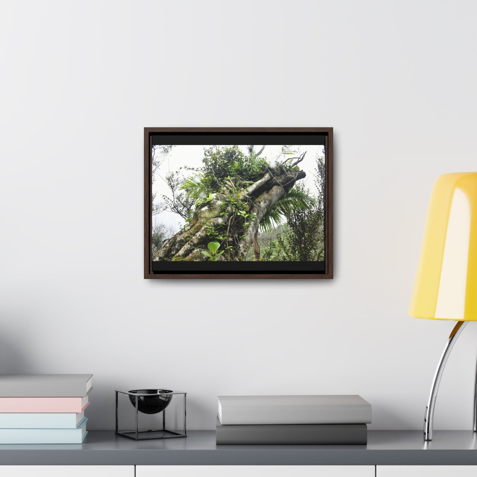 Rainforest Trails & Views - Gallery Canvas Wraps, Horizontal Frame - El Yunque National Forest - Puerto Rico - Tradewinds Trail - Dramatic view of tree battered by Hurricane Maria - Green Forest Home