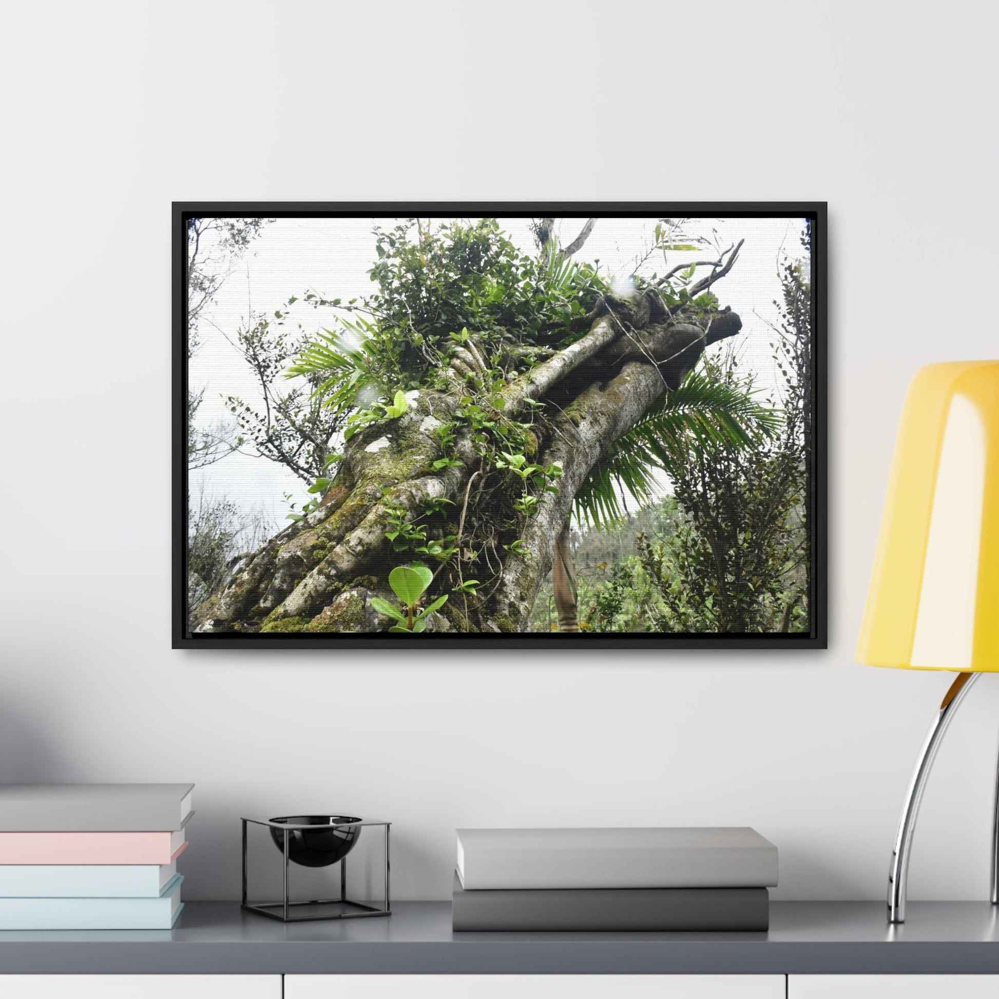 Rainforest Trails & Views - Gallery Canvas Wraps, Horizontal Frame - El Yunque National Forest - Puerto Rico - Tradewinds Trail - Dramatic view of tree battered by Hurricane Maria - Green Forest Home