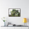 Rainforest Trails & Views - Gallery Canvas Wraps, Horizontal Frame - El Yunque National Forest - Puerto Rico - Tradewinds Trail - Dramatic view of tree battered by Hurricane Maria - Green Forest Home