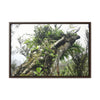 Rainforest Trails & Views - Gallery Canvas Wraps, Horizontal Frame - El Yunque National Forest - Puerto Rico - Tradewinds Trail - Dramatic view of tree battered by Hurricane Maria - Green Forest Home