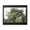 Rainforest Trails & Views - Gallery Canvas Wraps, Horizontal Frame - El Yunque National Forest - Puerto Rico - Tradewinds Trail - Dramatic view of tree battered by Hurricane Maria - Green Forest Home