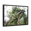 Rainforest Trails & Views - Gallery Canvas Wraps, Horizontal Frame - El Yunque National Forest - Puerto Rico - Tradewinds Trail - Dramatic view of tree battered by Hurricane Maria - Green Forest Home