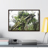 Rainforest Trails & Views - Gallery Canvas Wraps, Horizontal Frame - El Yunque National Forest - Puerto Rico - Tradewinds Trail - Dramatic view of tree battered by Hurricane Maria - Green Forest Home