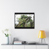 Rainforest Trails & Views - Gallery Canvas Wraps, Horizontal Frame - El Yunque National Forest - Puerto Rico - Tradewinds Trail - Dramatic view of tree battered by Hurricane Maria - Green Forest Home