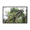 Rainforest Trails & Views - Gallery Canvas Wraps, Horizontal Frame - El Yunque National Forest - Puerto Rico - Tradewinds Trail - Dramatic view of tree battered by Hurricane Maria - Green Forest Home