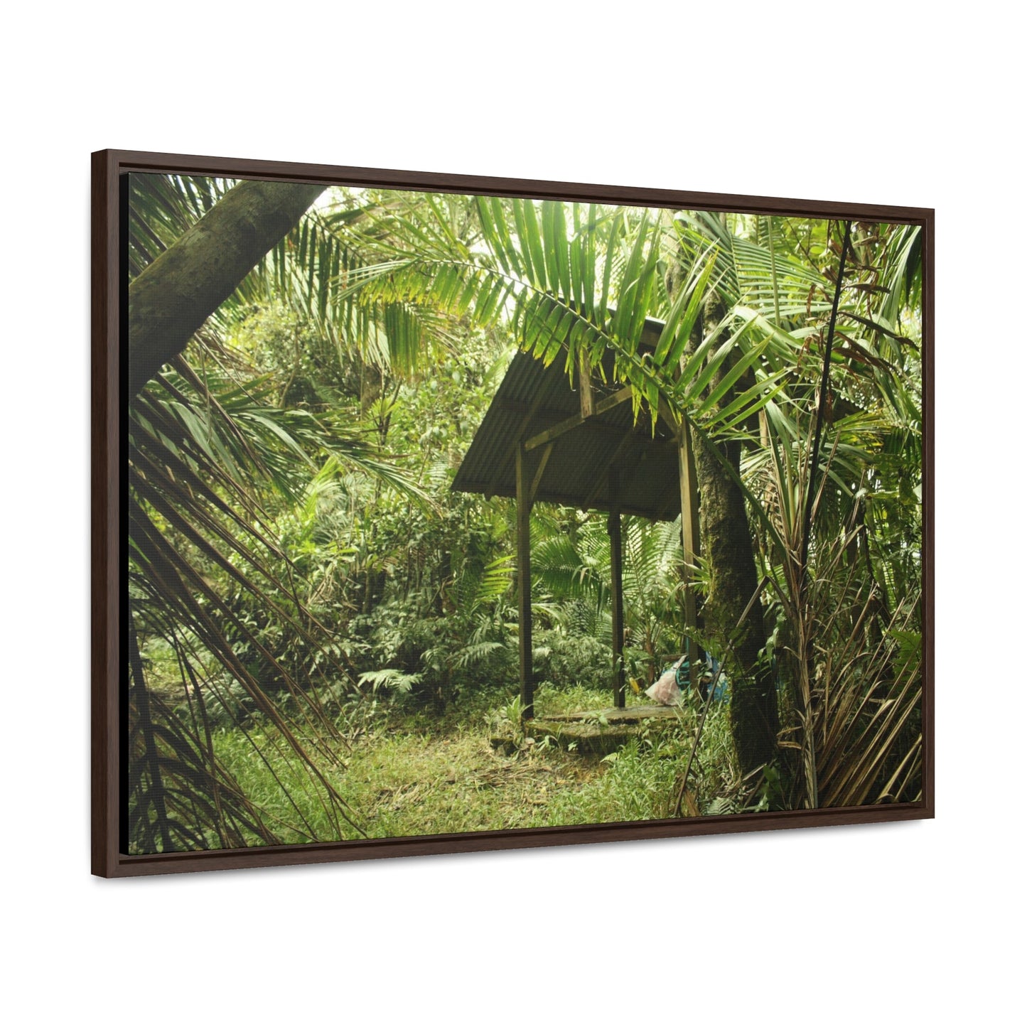 Rainforest Trails & Views - Gallery Canvas Wraps, Horizontal Frame - El Yunque National Forest - Puerto Rico - Tradewinds Trail shelter - Green Forest Home