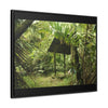 Rainforest Trails & Views - Gallery Canvas Wraps, Horizontal Frame - El Yunque National Forest - Puerto Rico - Tradewinds Trail shelter - Green Forest Home