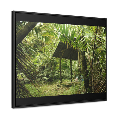 Rainforest Trails & Views - Gallery Canvas Wraps, Horizontal Frame - El Yunque National Forest - Puerto Rico - Tradewinds Trail shelter - Green Forest Home