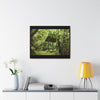 Rainforest Trails & Views - Gallery Canvas Wraps, Horizontal Frame - El Yunque National Forest - Puerto Rico - Tradewinds Trail shelter - Green Forest Home
