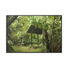 Rainforest Trails & Views - Gallery Canvas Wraps, Horizontal Frame - El Yunque National Forest - Puerto Rico - Tradewinds Trail shelter - Green Forest Home