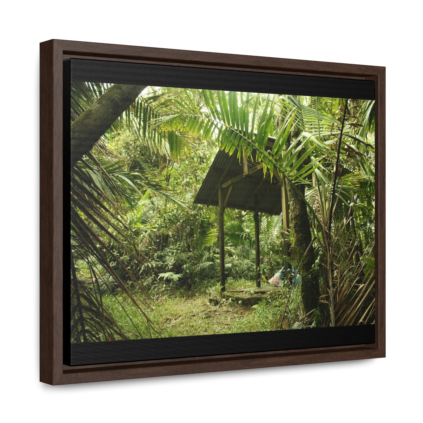 Rainforest Trails & Views - Gallery Canvas Wraps, Horizontal Frame - El Yunque National Forest - Puerto Rico - Tradewinds Trail shelter - Green Forest Home