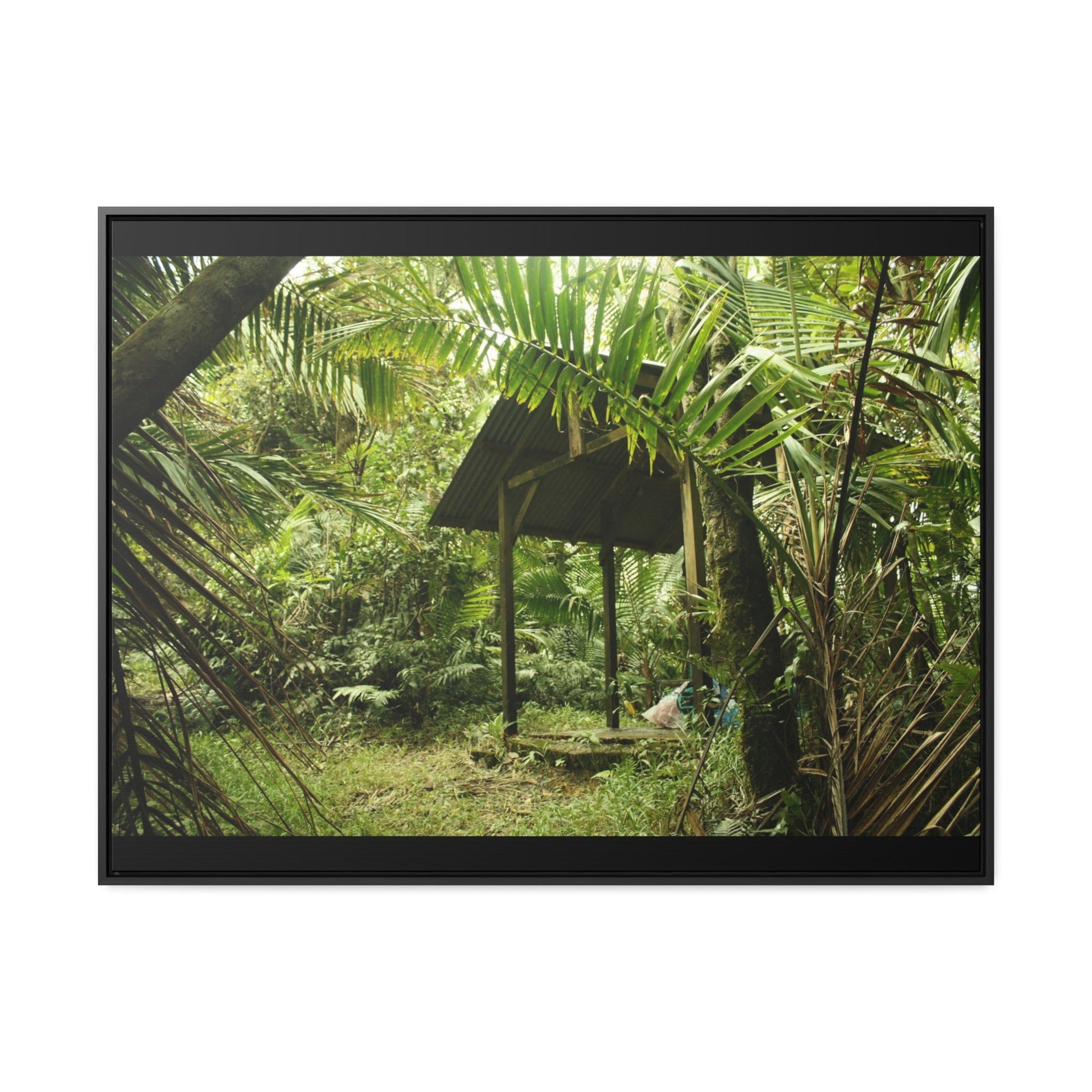 Rainforest Trails & Views - Gallery Canvas Wraps, Horizontal Frame - El Yunque National Forest - Puerto Rico - Tradewinds Trail shelter - Green Forest Home