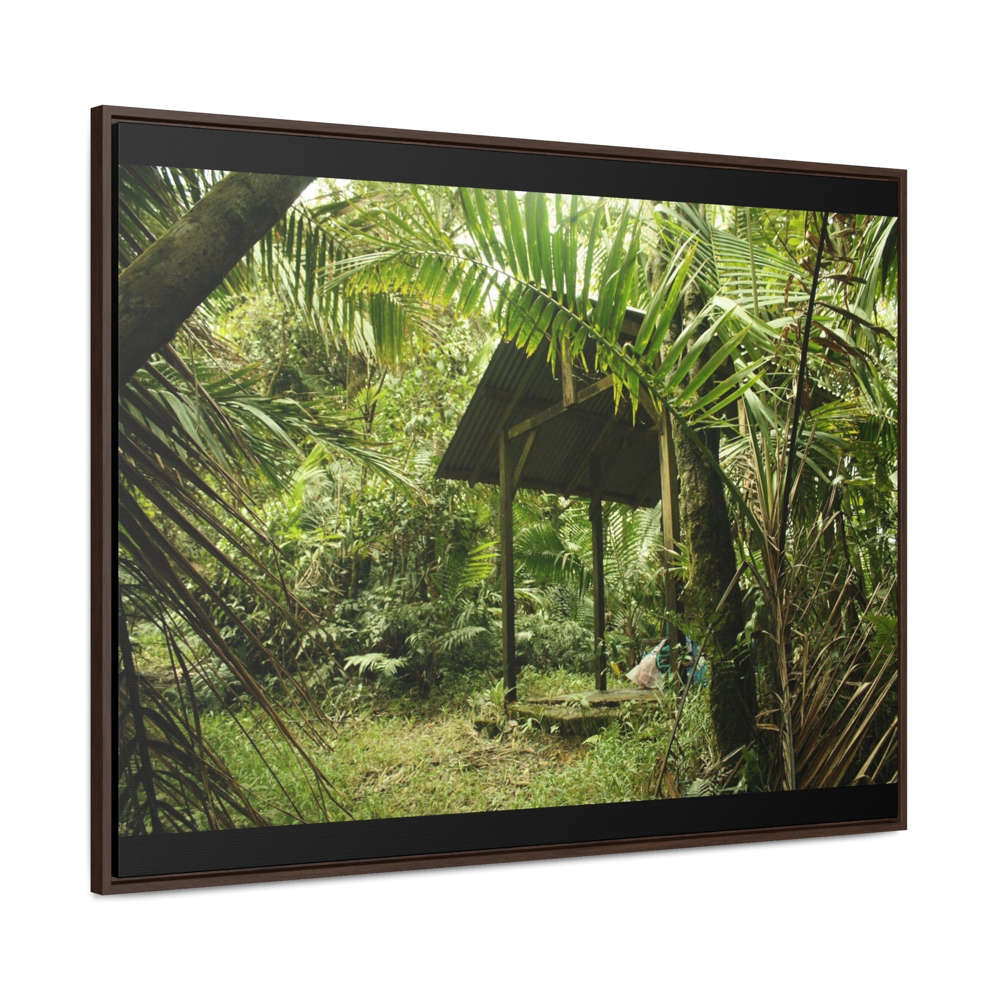 Rainforest Trails & Views - Gallery Canvas Wraps, Horizontal Frame - El Yunque National Forest - Puerto Rico - Tradewinds Trail shelter - Green Forest Home