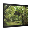 Rainforest Trails & Views - Gallery Canvas Wraps, Horizontal Frame - El Yunque National Forest - Puerto Rico - Tradewinds Trail shelter - Green Forest Home