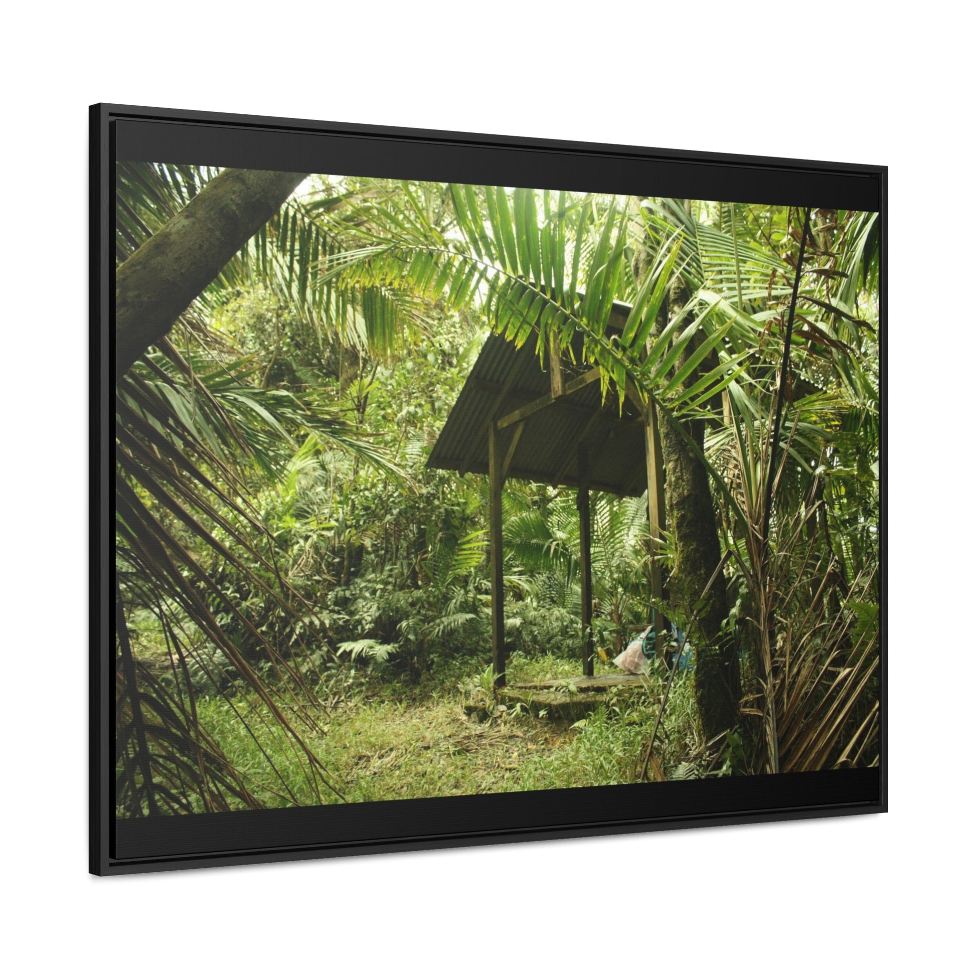Rainforest Trails & Views - Gallery Canvas Wraps, Horizontal Frame - El Yunque National Forest - Puerto Rico - Tradewinds Trail shelter - Green Forest Home