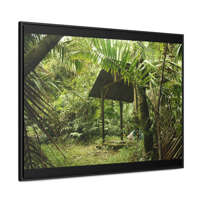 Rainforest Trails & Views - Gallery Canvas Wraps, Horizontal Frame - El Yunque National Forest - Puerto Rico - Tradewinds Trail shelter - Green Forest Home