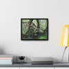 Rainforest Trails & Views - Gallery Canvas Wraps, Horizontal Frame - El Yunque National Forest - Puerto Rico - Tradewinds trail tree-jungle in the cloud forest - Green Forest Home
