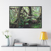 Rainforest Trails & Views - Gallery Canvas Wraps, Horizontal Frame - El Yunque National Forest - Puerto Rico - Tradewinds trail tree-jungle in the cloud forest - Green Forest Home
