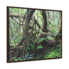 Rainforest Trails & Views - Gallery Canvas Wraps, Horizontal Frame - El Yunque National Forest - Puerto Rico - Tradewinds trail tree-jungle in the cloud forest - Green Forest Home