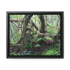 Rainforest Trails & Views - Gallery Canvas Wraps, Horizontal Frame - El Yunque National Forest - Puerto Rico - Tradewinds trail tree-jungle in the cloud forest - Green Forest Home