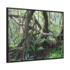 Rainforest Trails & Views - Gallery Canvas Wraps, Horizontal Frame - El Yunque National Forest - Puerto Rico - Tradewinds trail tree-jungle in the cloud forest - Green Forest Home