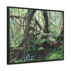 Rainforest Trails & Views - Gallery Canvas Wraps, Horizontal Frame - El Yunque National Forest - Puerto Rico - Tradewinds trail tree-jungle in the cloud forest - Green Forest Home