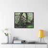 Rainforest Trails & Views - Gallery Canvas Wraps, Horizontal Frame - El Yunque National Forest - Puerto Rico - Tradewinds trail tree-jungle in the cloud forest - Green Forest Home