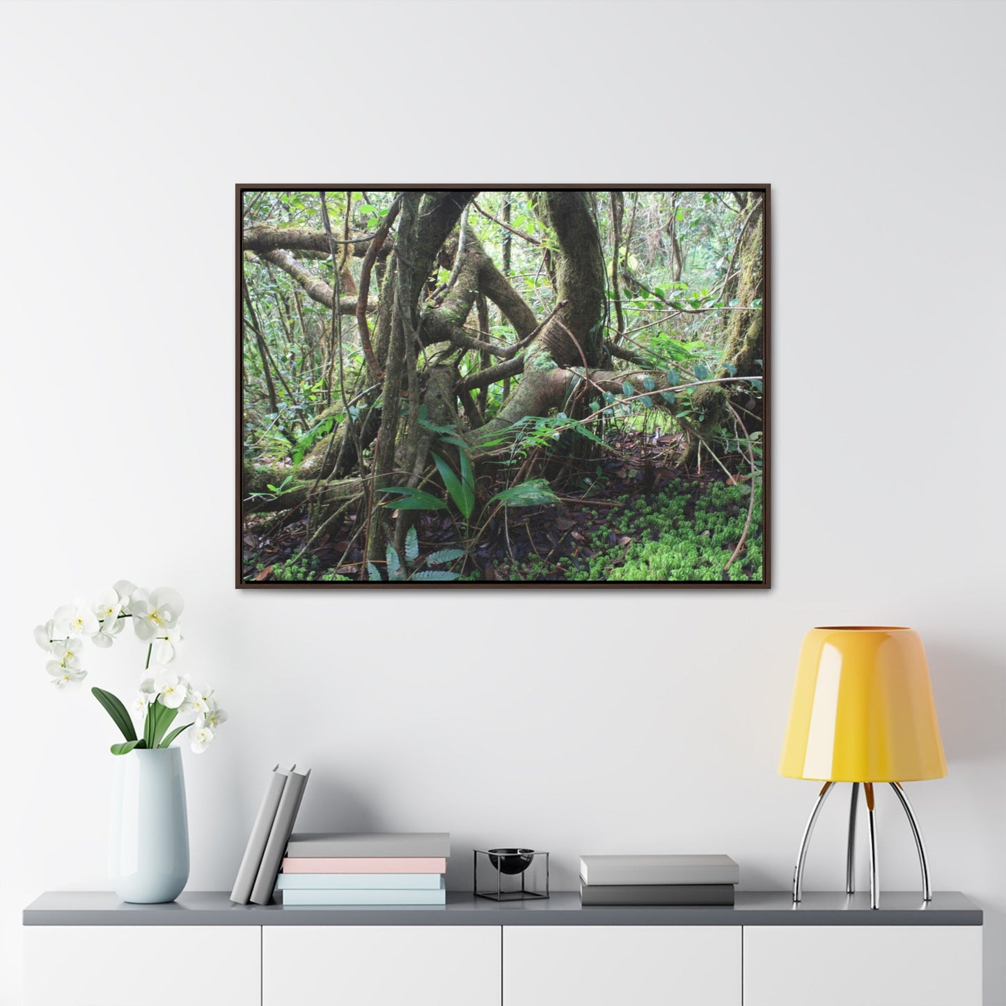 Rainforest Trails & Views - Gallery Canvas Wraps, Horizontal Frame - El Yunque National Forest - Puerto Rico - Tradewinds trail tree-jungle in the cloud forest - Green Forest Home