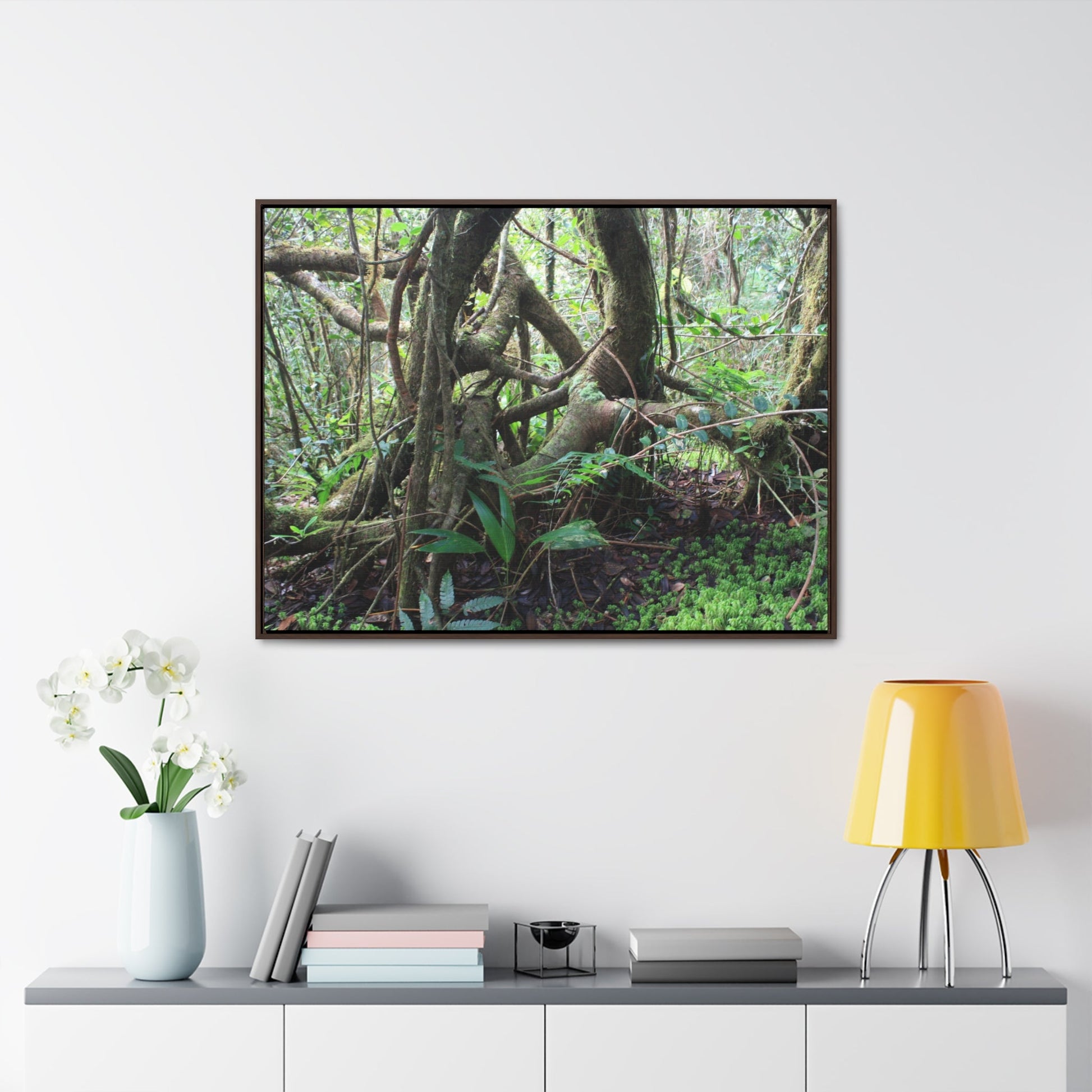 Rainforest Trails & Views - Gallery Canvas Wraps, Horizontal Frame - El Yunque National Forest - Puerto Rico - Tradewinds trail tree-jungle in the cloud forest - Green Forest Home