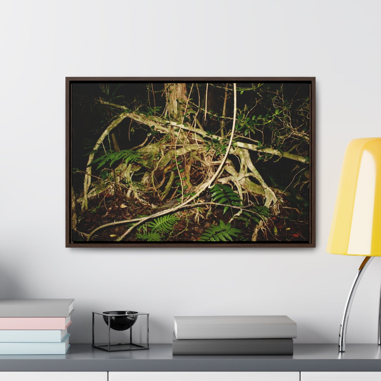 Rainforest Trails & Views - Gallery Canvas Wraps, Horizontal Frame - El Yunque National Forest - Puerto Rico - Tradewinds trail weird trees - Green Forest Home