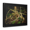Rainforest Trails & Views - Gallery Canvas Wraps, Horizontal Frame - El Yunque National Forest - Puerto Rico - Tradewinds trail weird trees - Green Forest Home