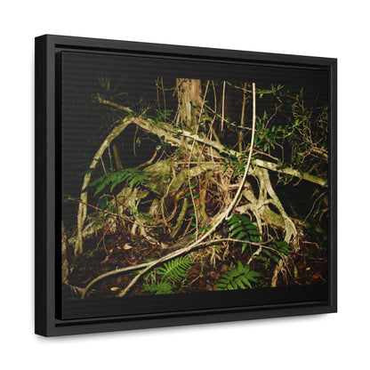 Rainforest Trails & Views - Gallery Canvas Wraps, Horizontal Frame - El Yunque National Forest - Puerto Rico - Tradewinds trail weird trees - Green Forest Home