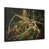 Rainforest Trails & Views - Gallery Canvas Wraps, Horizontal Frame - El Yunque National Forest - Puerto Rico - Tradewinds trail weird trees - Green Forest Home